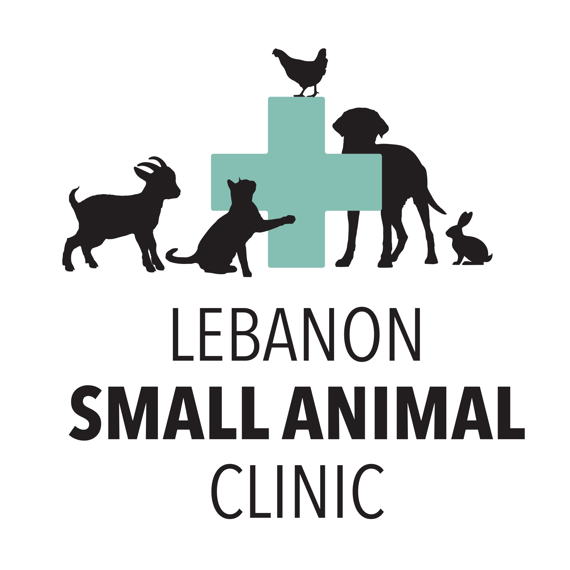 Lebanon Small Animal Clinic